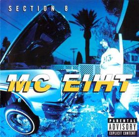 Section 8