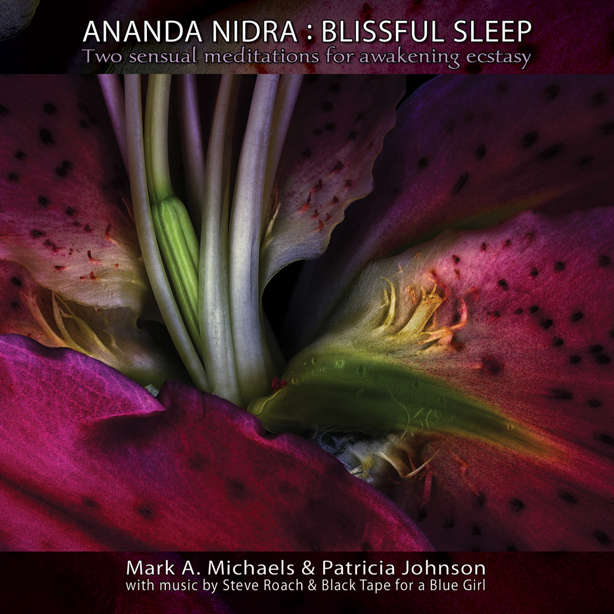 Ananda Nidra